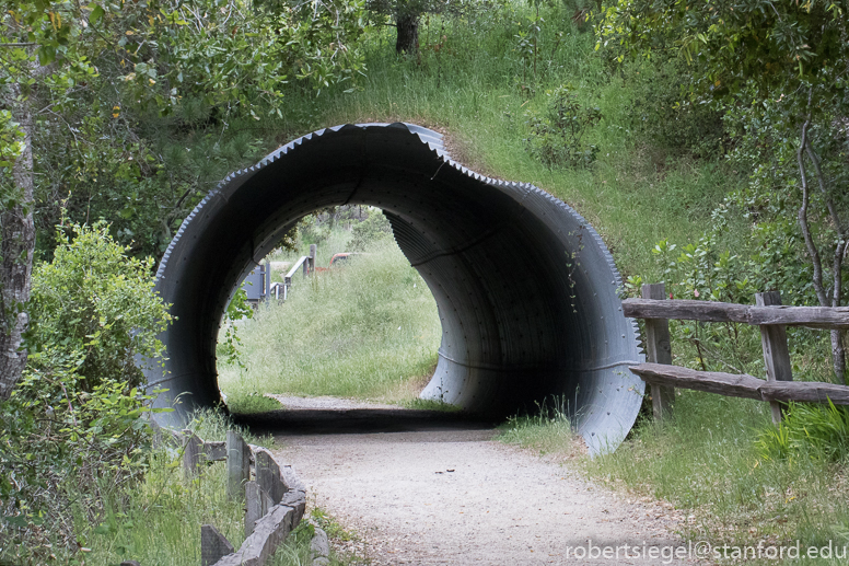 russian ridge